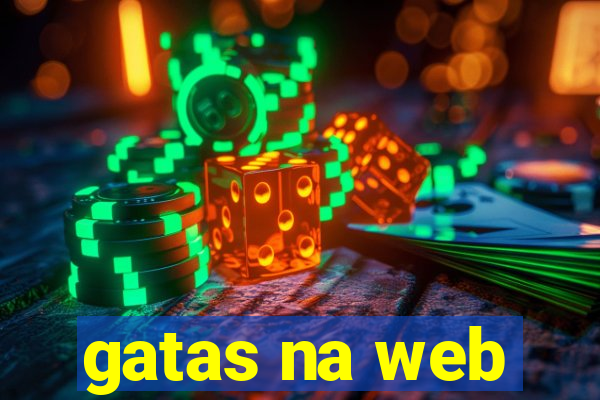 gatas na web